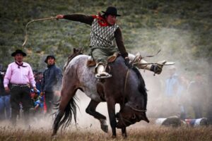 Hoy parte la Fiesta a la Chilena en Villa Cerro Castillo