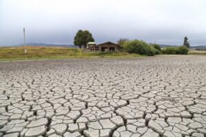 Buscan declarar a la Laguna Pudeto como humedal urbano