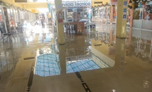 Pérdidas millonarias sufrieron locatarios por inundación