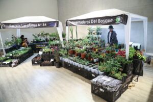 Soledad Quedumán, agricultora de Mercado Campesino: “Necesitamos un espacio fijo y que las autoridades dejen de gastar en millonarias ferias