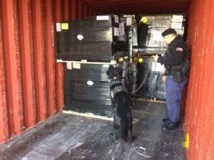 Armada realiza control desconsolidado de carga peligrosa en Muelle Santos Mardones
