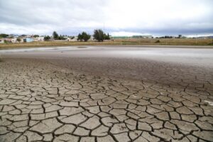 Laguna Pudeto: “Antes de intervenir se deben juntar varios expertos y evaluar el lugar”
