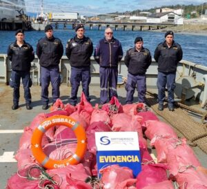 Centolla: Sernapesca cursó 18 infracciones el año pasado e incautó 15 kilómetros de redes centolleras