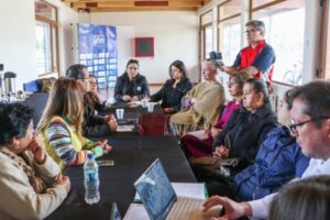 Municipio de Natales iniciará campaña de esterilización de mascotas