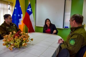 Violencia intrafamiliar aumentó 36,4% en Cabo de Hornos en 2022