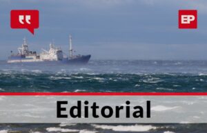 Viento magallánico: una compañía permanente en el verano