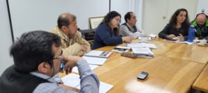 Por primera vez declaran a Magallanes en emergencia agrícola por sequía