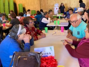Más de 100 adultos mayores pasaron una agradable tarde practicando juegos de salón