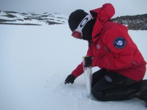 Pionero estudio analizará conectividad entre ecosistemas de hielo, nieve y agua en Antártica