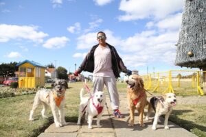 Paseadores de perros: la nueva y necesaria labor para aquellos que no pueden salir con su mascota