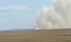Decretan Alerta Amarilla para Primavera por incendio forestal en Cruce Percy