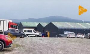 Trabajador de pesquera en riesgo vital tras ser atrapado por maquinaria