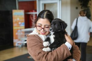 Adopción de mascotas: conoce las recomendaciones para mantenerlos sanos y seguros