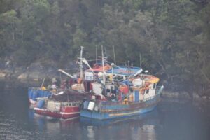 Sorprenden a nueve embarcaciones magallánicas pescando ilegalmente
