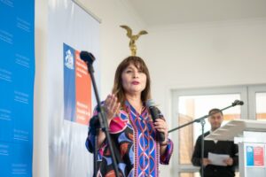 Alcaldesa de Natales reconoció que abogado contratado por la Cormunat ejerció labores para el municipio