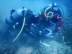 Refuerzan trabajos para la detección de especies invasoras en Antártica