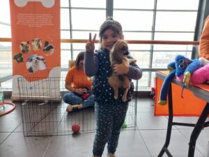 Adopción de mascotas cautivó a las familias magallánicas este fin de semana