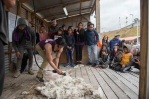 El fin de semana se celebrará la XXIII Versión de la Fiesta Campesina del Ovejero