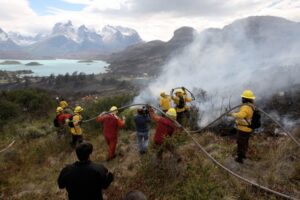 Autoridades de Magallanes enfatizan llamado a evitar incendios forestales