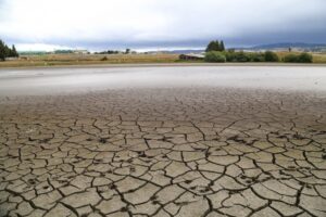 Laguna Pudeto: a fines de agosto esperan que se declare humedal urbano