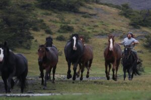 Hoy sería entregado cuerpo de joven trabajador fallecido en el Parque Torres del Paine