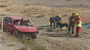Madre, hijo y sus mascotas sufren accidente vehicular en Ruta 9 Sur