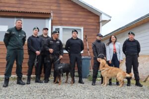 Gendarmería incorporó dos canes detectores de drogas para frenar su ingreso a la cárcel