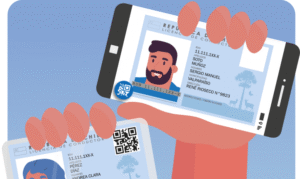 Punta Arenas busca iniciar marcha blanca en licencia de conducir digital