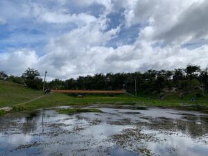 Proyectos de hasta 60 millones de pesos financia Fondo de Protección Ambiental