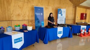 Municipio de Punta Arenas adquirió implementación y accesorios para equinoterapia