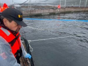 Sernapesca constata ausencia de diseminación de virus ISA patógeno en Magallanes