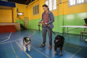 Con éxito se realizó un nuevo operativo canino en Punta Arenas