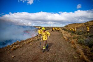 Incendio en Tierra del Fuego afecta 1.757 hectáreas, mientras brigadistas intensifican labores