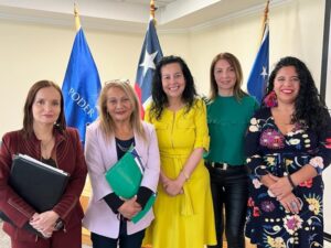 Mujeres en justicia: profesionales analizaron sentencias con perspectiva de género