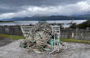 Detienen a dos personas por compra de redes de centolla robadas en Puerto Williams