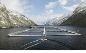 Tercer Tribunal Ambiental acoge reclamación de comunidades indígenas por centro de salmones de Nova Austral