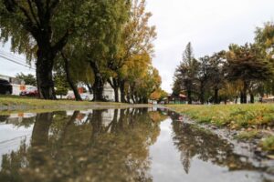 12,5 milímetros de precipitaciones cayeron en Punta Arenas