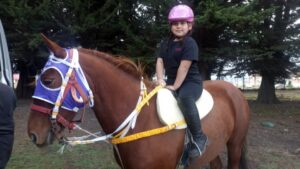Club Hípico de Punta Arenas celebró un domingo de carreras a la chilena