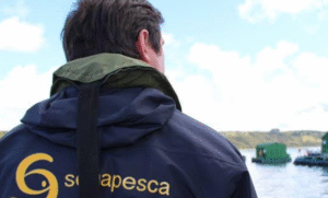 Activan fiscalizaciones por sospecha de virus ISA en Magallanes