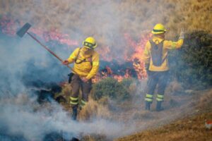 Incendio de Cruce Percy en Tierra del Fuego pasó a categoría de “controlado”