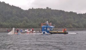 SMA inicia procesos sancionatorios contra dos salmoneras por sobreproducción en Magallanes y Aysén