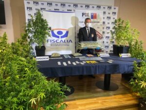 Arraigo regional y reclusión domiciliaria para pareja por plantación y tráfico de marihuana