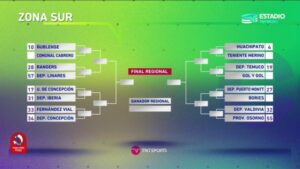 ¡Ya tiene rival! Club Deportivo Bories enfrentará a Deportes Puerto Montt en Copa Chile