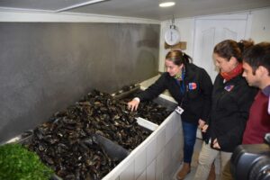 Las recomendaciones que entrega Salud a la hora de comprar productos del mar