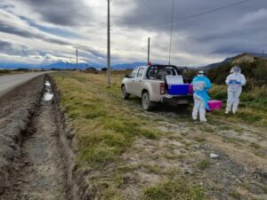 Examen de familia que poseía aves de traspatio con Gripe Aviar salió negativo al virus