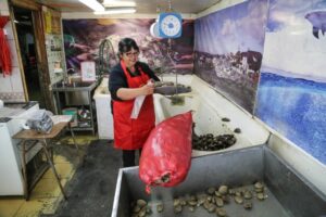 Cholgas, almejas y pejerrey, lo más vendido en pescaderías en Semana Santa
