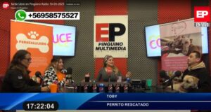 Cerca de 150 denuncias de perros abandonados se realizan a la semana