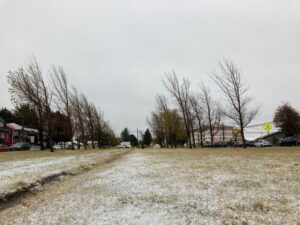 Primera nevada del año en Punta Arenas registró 4,9 milímetros de agua-nieve