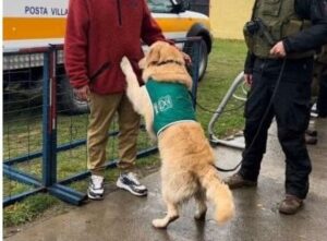 Dos personas detenidas por porte de drogas en Copa Chile en Puerto Natales
