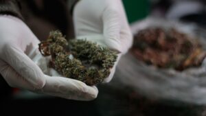 Joven es formalizado por microtráfico de drogas: se le incautaron poco más de 30 gramos de marihuana